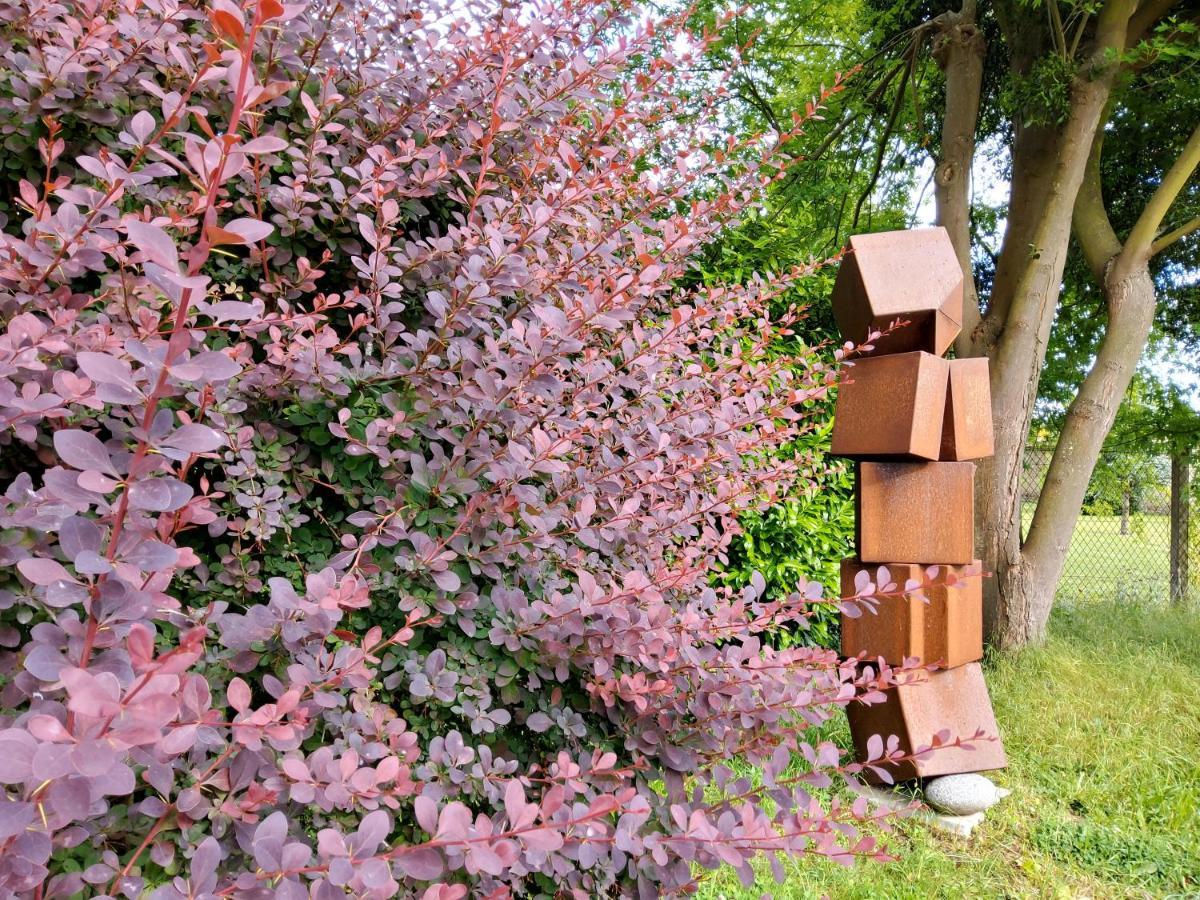 Gite Dans Parc De Sculptures - Gite "Pondichery" Port-Mort Екстер'єр фото